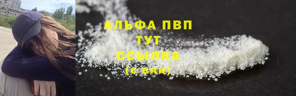 амф Новодвинск