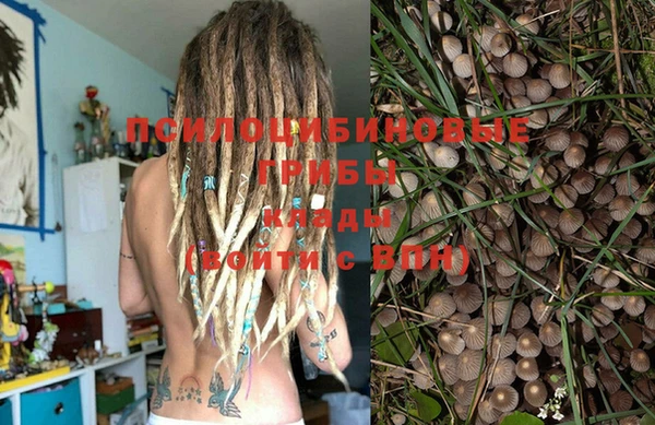 мяу мяу кристалл Новозыбков