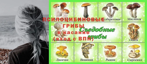 амф Новодвинск