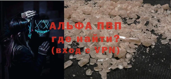 амф Новодвинск