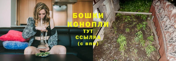 амф Новодвинск