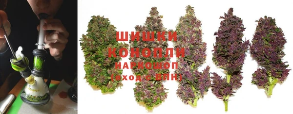 амф Новодвинск