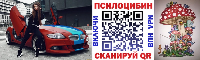 Галлюциногенные грибы Psilocybe Купить Калуга