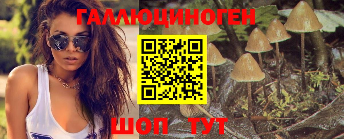 Псилоцибиновые грибы мицелий  Калуга 