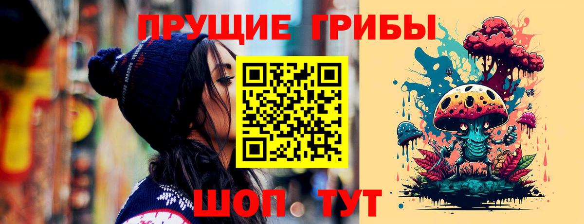 Псилоцибиновые грибы Cubensis Калуга